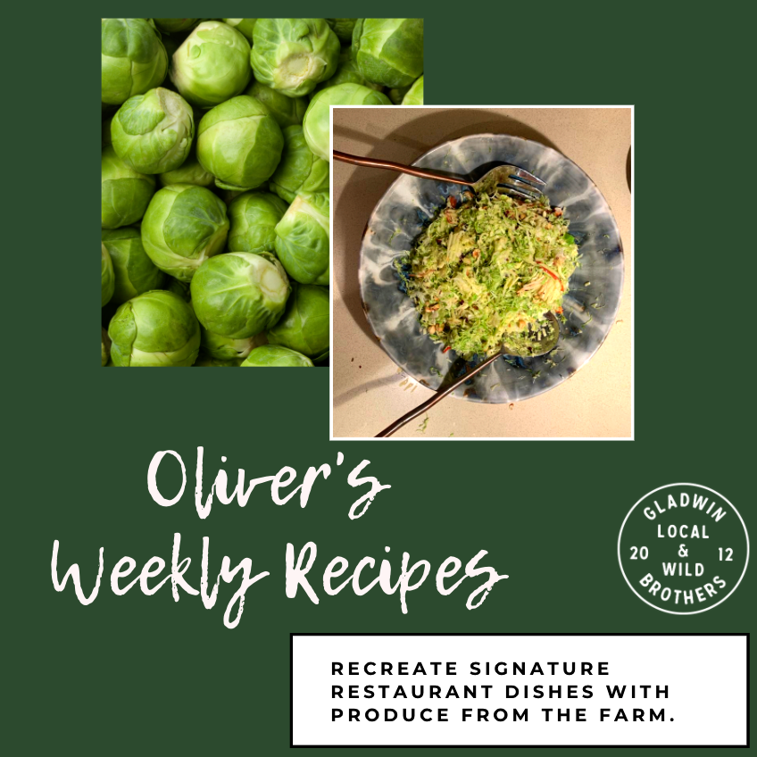 Brussels Sprout Salad Journal